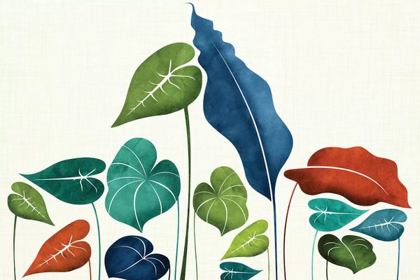 Scandinavian Décor: Around The World by Modern Tropical