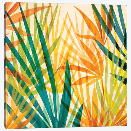 Golden Tropics Canvas Print #MTP123} by Modern Tropical Canvas Art Print