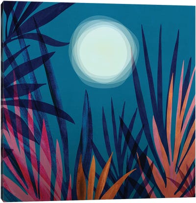 Moonlit Garden Canvas Art Print - Modern Tropical