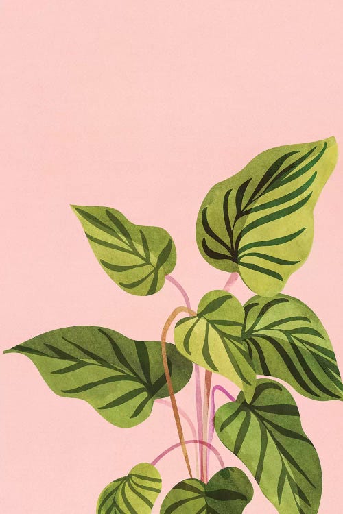 Tropical Rising by Modern Tropical wall art