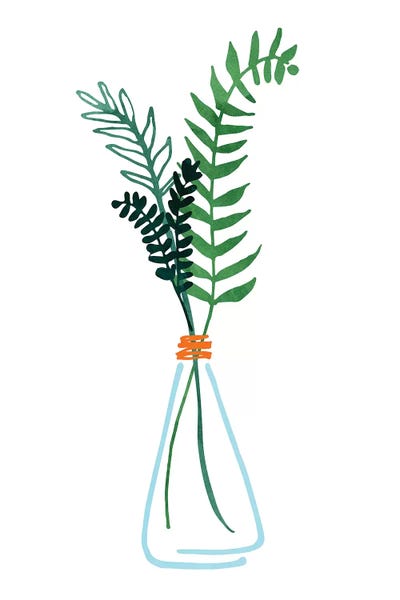 Herbs: Herb Sprigs by Modern Tropical