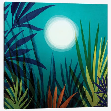Midnight In The Jungle Canvas Print #MTP139} by Modern Tropical Canvas Art