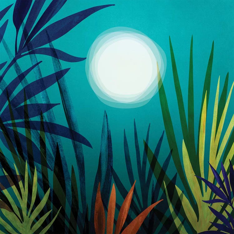 Midnight In The Jungle by Modern Tropical wall art