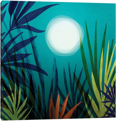 Midnight In The Jungle Canvas Art Print - Modern Tropical
