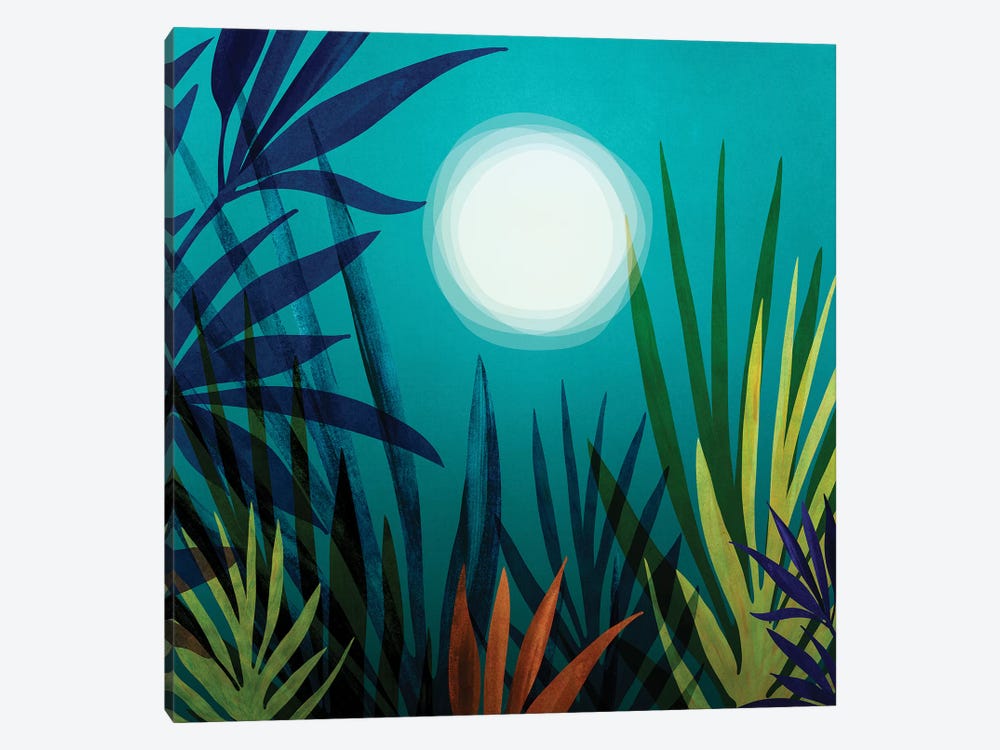 Midnight In The Jungle by Modern Tropical 1-piece Canvas Art Print