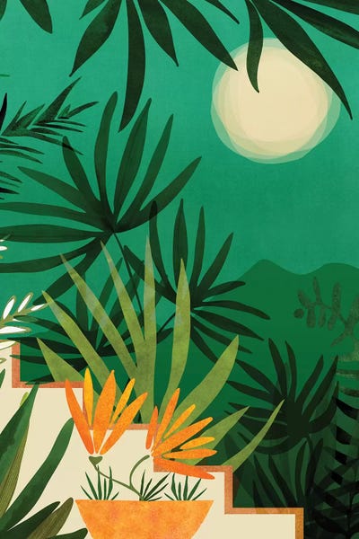 Tropical Living Room: Exotic Garden Nightscape by Modern Tropical