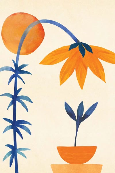 Scandinavian Décor: Welcome To The Neighborhood by Modern Tropical