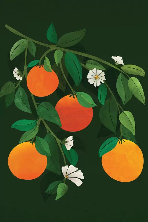 Oranges And Blossoms