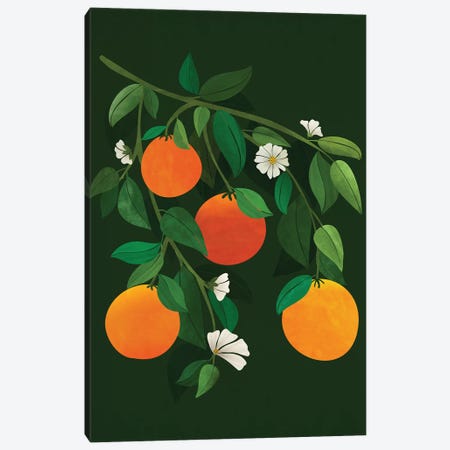 Oranges And Blossoms Canvas Print #MTP152} by Modern Tropical Canvas Artwork