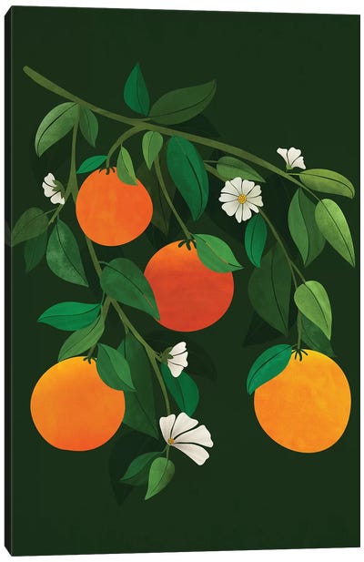 Oranges And Blossoms Canvas Art Print - Modern Tropical