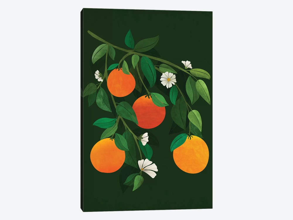 Oranges And Blossoms by Modern Tropical 1-piece Canvas Wall Art