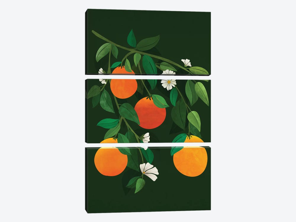 Oranges And Blossoms by Modern Tropical 3-piece Canvas Art