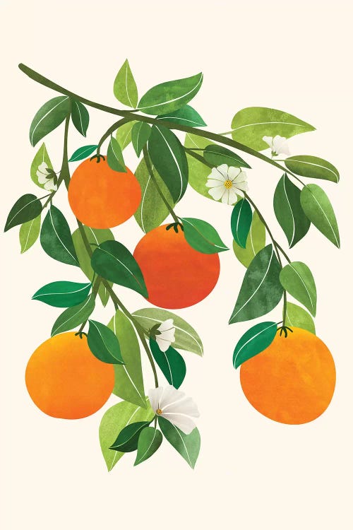 Oranges And Blossoms Ii