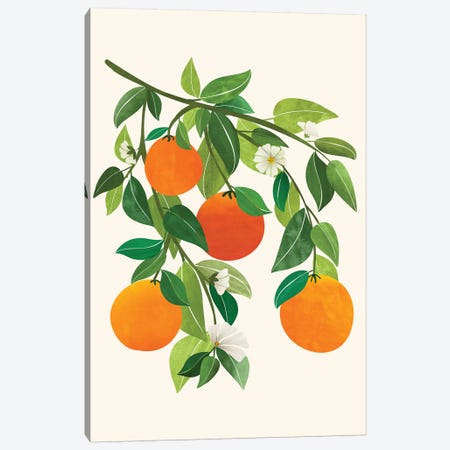 Oranges And Blossoms Ii Canvas Print #MTP153} by Modern Tropical Canvas Artwork