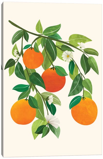 Oranges And Blossoms Ii Canvas Art Print - Modern Tropical