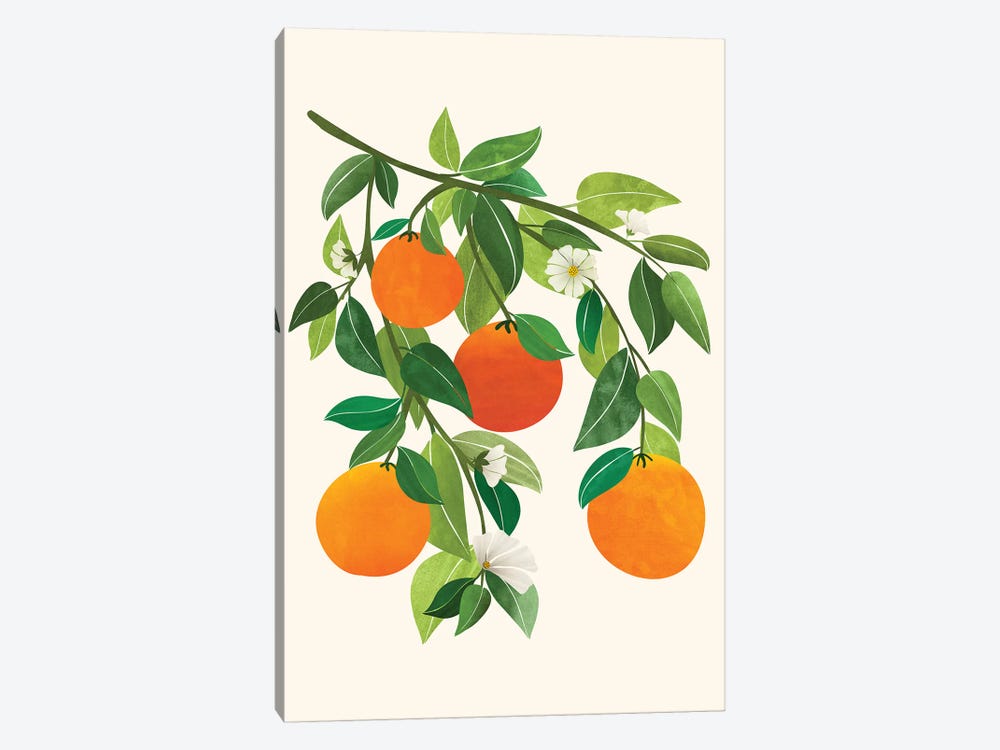 Oranges And Blossoms Ii by Modern Tropical 1-piece Canvas Print
