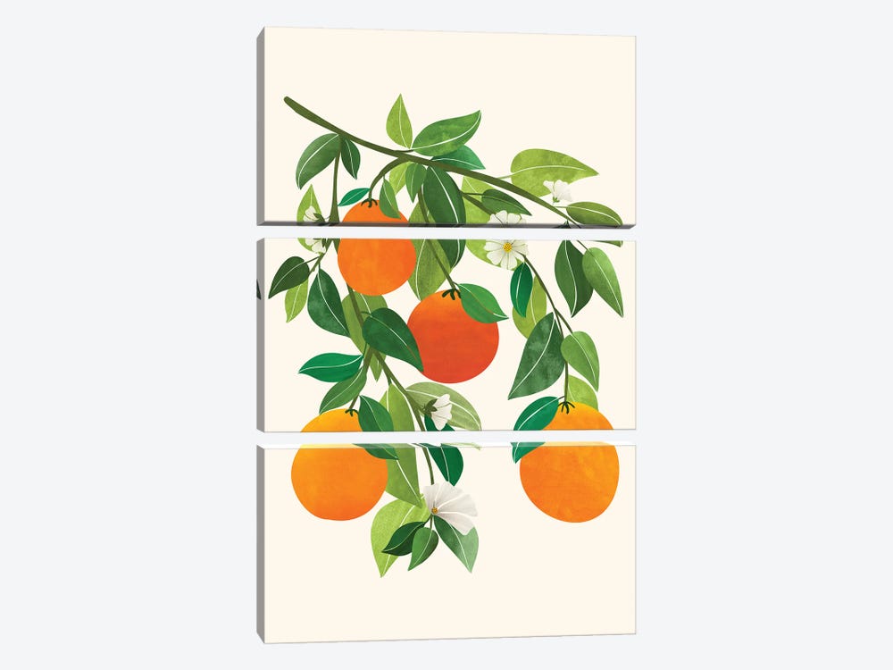 Oranges And Blossoms Ii by Modern Tropical 3-piece Art Print