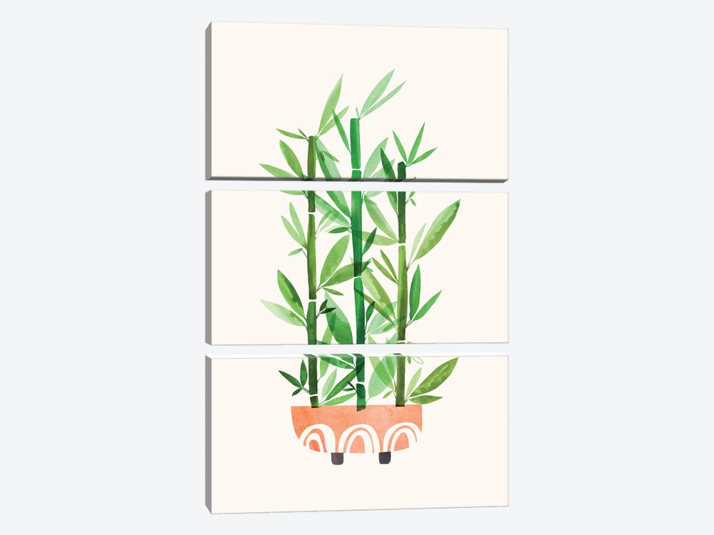 Happy Bamboo by Modern Tropical 3-piece Canvas Artwork