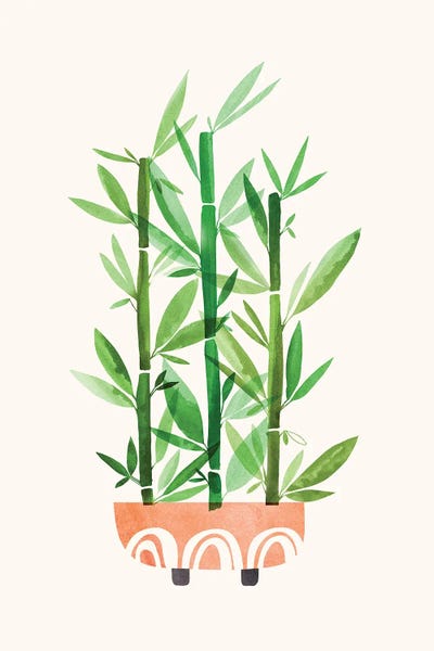 Japandi: Happy Bamboo by Modern Tropical