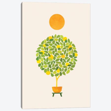 Sunshine And Lemon Tree Canvas Print #MTP161} by Modern Tropical Canvas Print