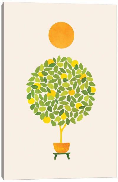 Sunshine And Lemon Tree Canvas Art Print - Modern Tropical