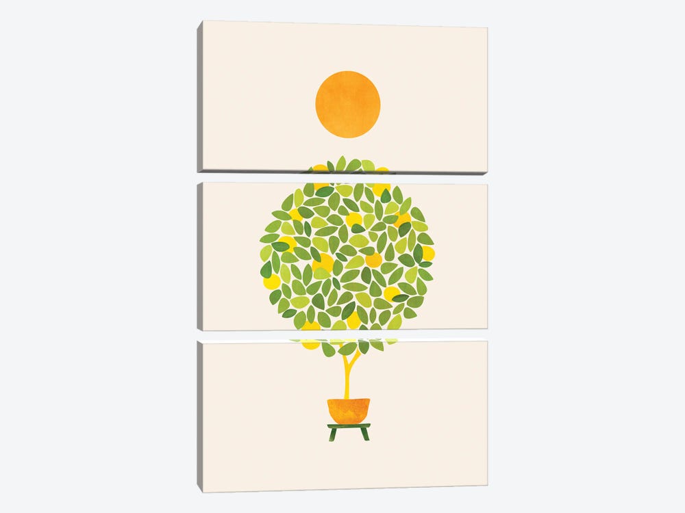 Sunshine And Lemon Tree by Modern Tropical 3-piece Canvas Wall Art