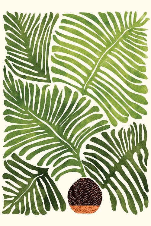 Summer Fern