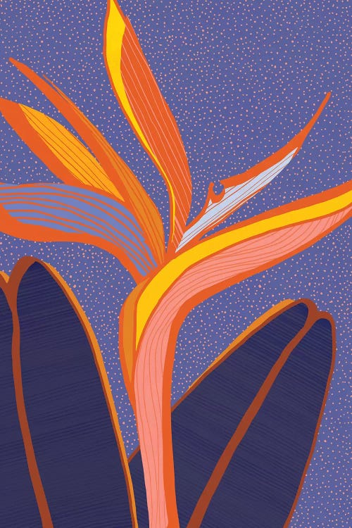 Bird Of Paradise by Modern Tropical wall art