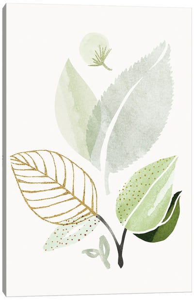 Spring Forest Bouquet II Canvas Art Print - Tropical Leaf Art