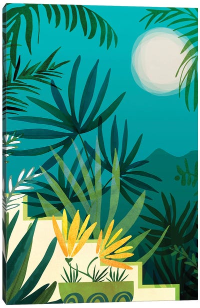 Rainforest With Moonlight Canvas Art Print - Modern Tropical