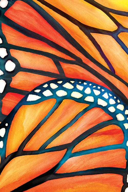 Abstract Butterfly by Modern Tropical wall art