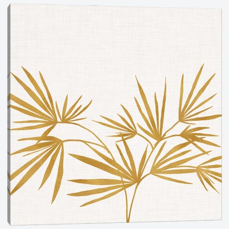 Golden Fan Palm Canvas Print #MTP200} by Modern Tropical Canvas Art