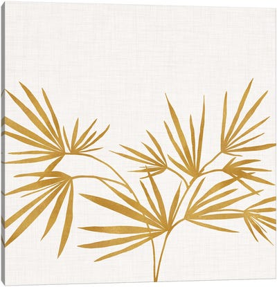 Golden Fan Palm Canvas Art Print - Modern Tropical