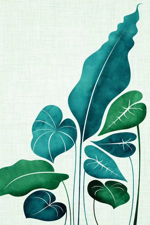 Cacophony by Modern Tropical canvas print