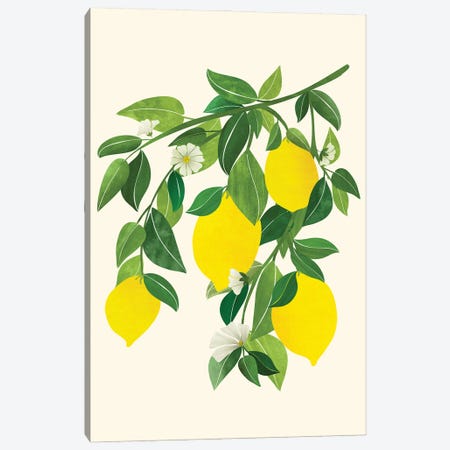 Sunny Lemons Canvas Print #MTP217} by Modern Tropical Canvas Wall Art