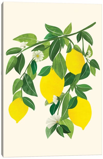 Sunny Lemons Canvas Art Print - Modern Tropical