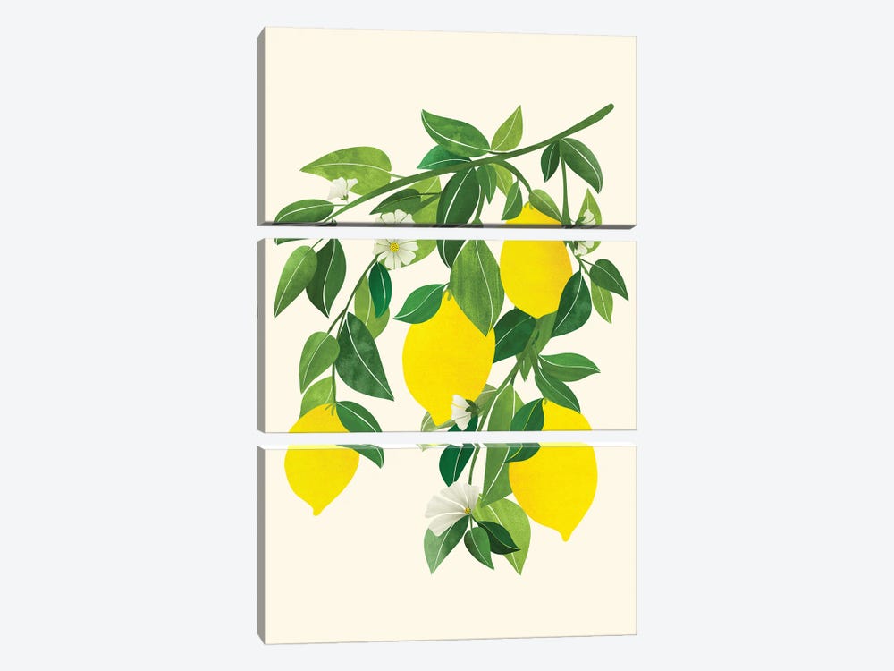 Sunny Lemons by Modern Tropical 3-piece Art Print