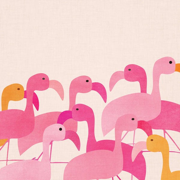 Flamingos: Florida Flamingos by Modern Tropical