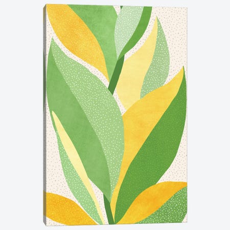 Sunny Contemporary Nature Canvas Print #MTP222} by Modern Tropical Canvas Wall Art