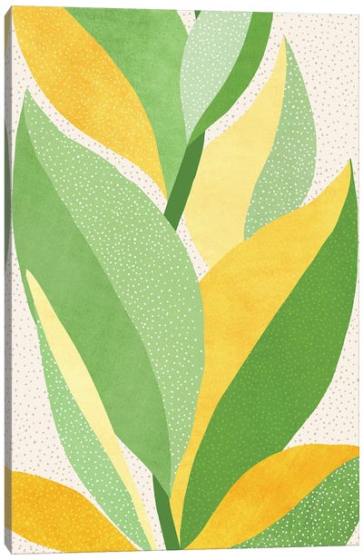 Sunny Contemporary Nature Canvas Art Print - Modern Tropical