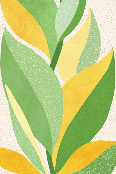 Tropical Leaves: Sunny Contemporary Nature by Modern Tropical