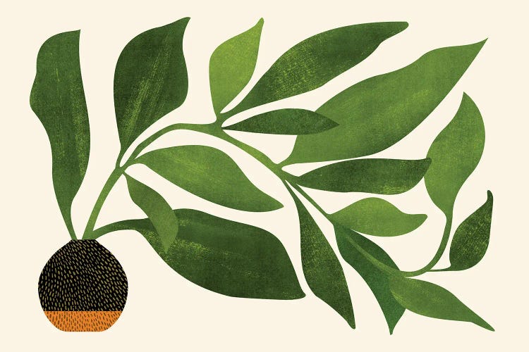 The Wanderer by Modern Tropical wall art