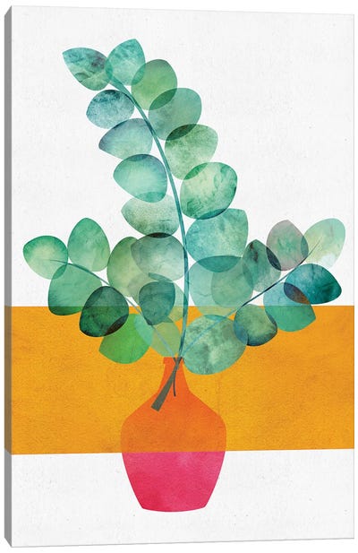 Eucalyptus And Sunshine Canvas Art Print - Pottery Still Life