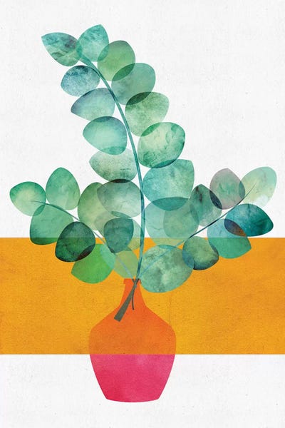 Pottery Still Life: Eucalyptus And Sunshine by Modern Tropical