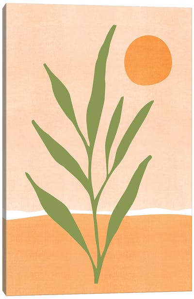 Southwest Sunrise Canvas Art Print - Modern Tropical