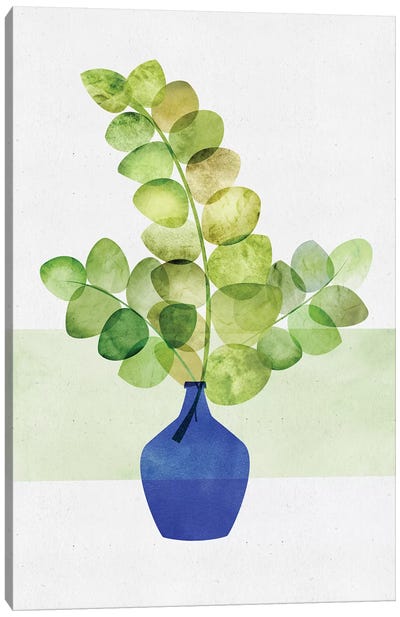 Eucalyptus Study Canvas Art Print - Botanical Still Life