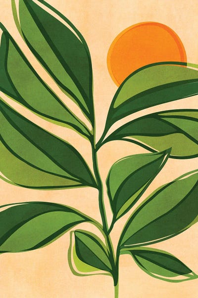 Golden Forest Sunset by Modern Tropical framed wall art