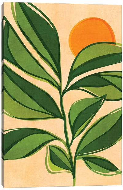 Golden Forest Sunset Canvas Art Print - Modern Tropical
