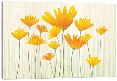 Poppy Field Canvas Art Print - Modern Tropical