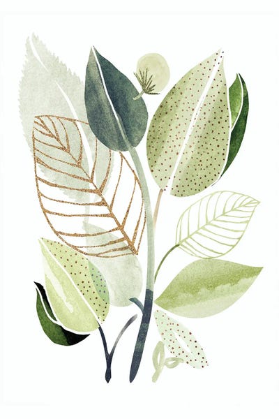 Spring Botanical Collage by Modern Tropical canvas print